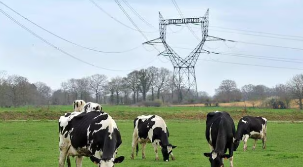 La pollution électromagnétique : un débat juridique et scientifique en pleine évolution