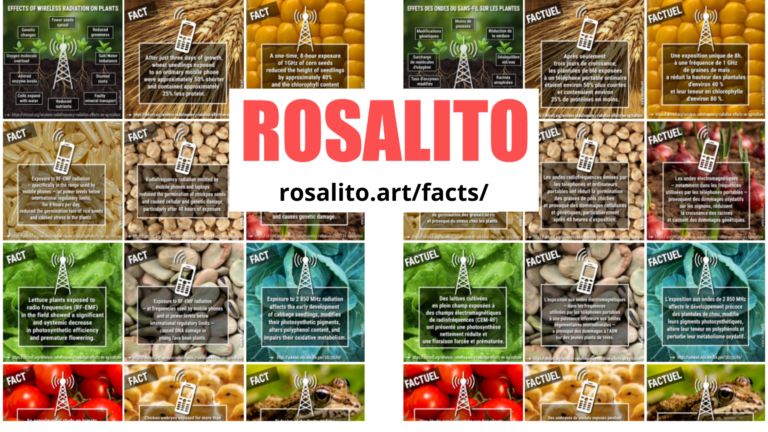 Rosalito : quand l&rsquo;art exhume ce que les lobbies ont enterré